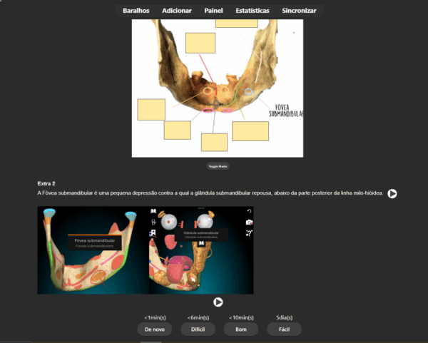 372 Flashcards de Anatomia de cabeça e pescoço: Teoria + Pratica + Questões da prova - Imagem 3