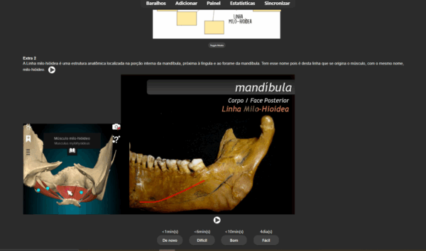 372 Flashcards de Anatomia de cabeça e pescoço: Teoria + Pratica + Questões da prova - Imagem 4