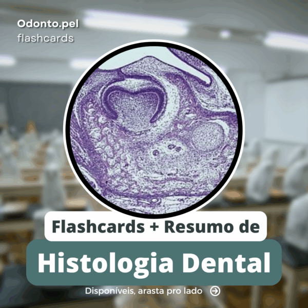 Histologia Bucal & Embriologia para Odontologia: Resumo + Flashcards