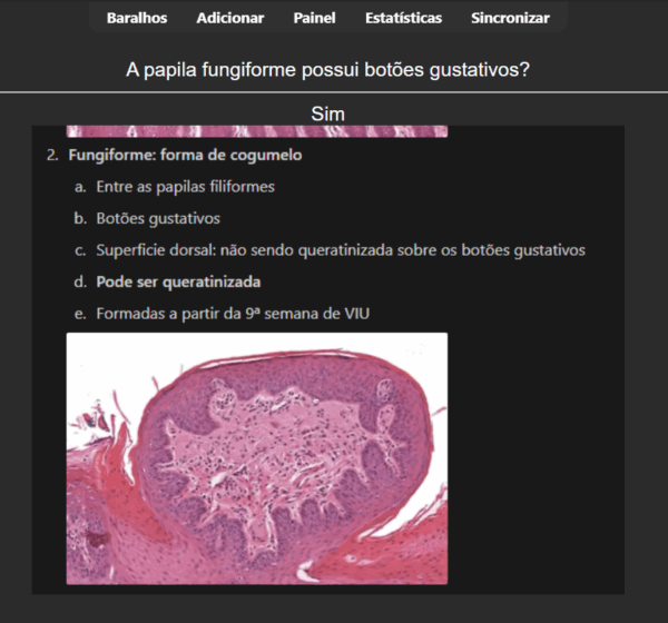 Histologia Bucal & Embriologia para Odontologia: Resumo + Flashcards - Image 4