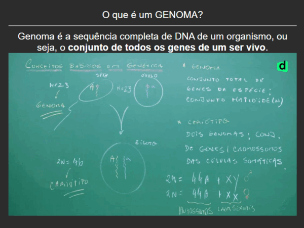 1920 Flashcards de Biologia para ENEM + Brindes - Imagem 4
